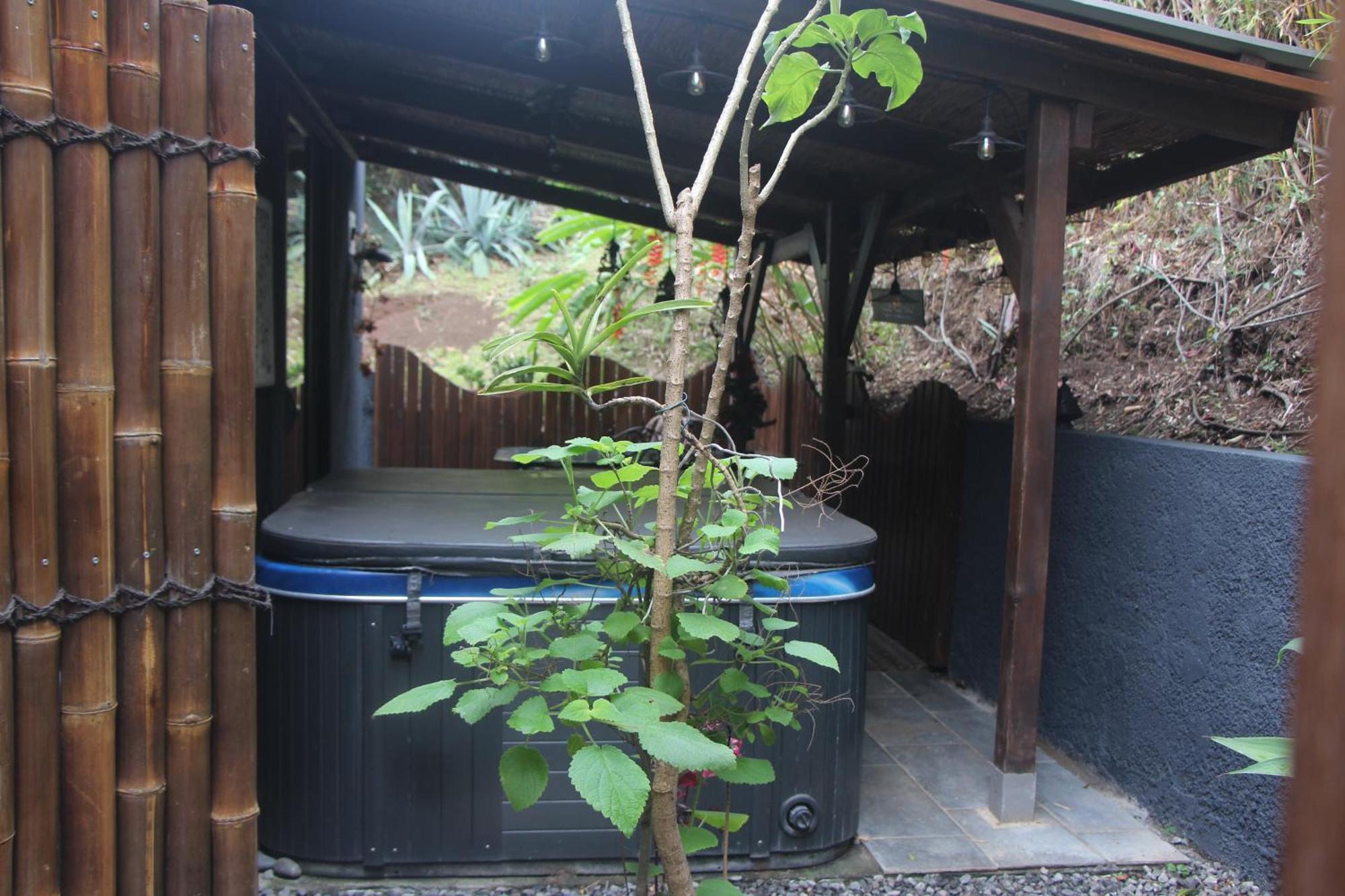 La Liane De Jade 974-Lodge Le Palissandre - Jacuzzi Privatif - Piscine Chauffee Le Bois de Nefles  Dış mekan fotoğraf